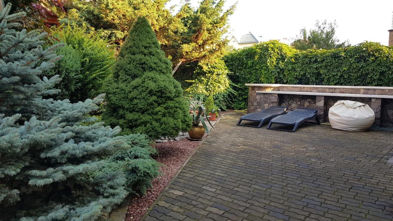 Luxury Villa With Pool And Sauna Cernăuți Exterior foto